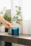 Bright Lights Candle | Amber & Tonka Bean