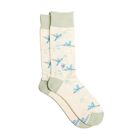 Socks That Protect Pollinators | Hummingbirds