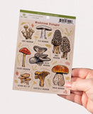 Sticker Sheet | Mushroom Forager