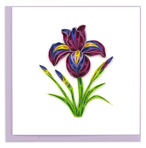 Iris Flower Quilling Card