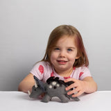 Felted Wool Dinosaur | Triceratops
