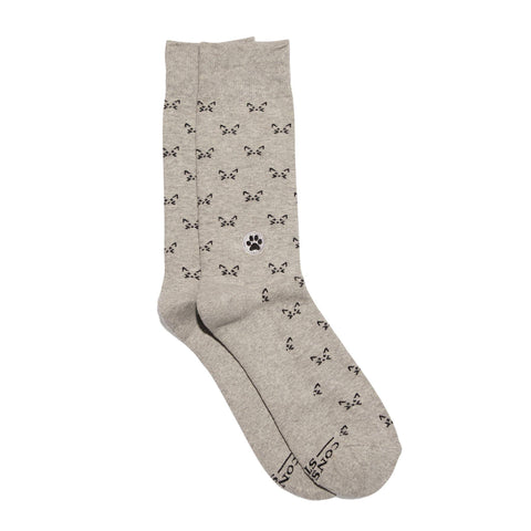 Socks That Save Cats | Clever Kittens