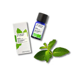 Essential Oil | Spearmint | 12ml
