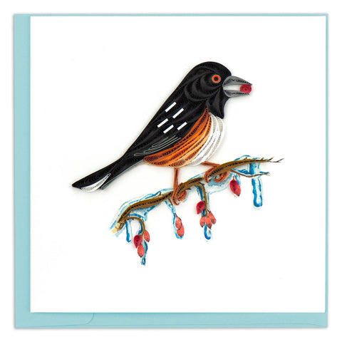 Eastern Towhee Quilling Card