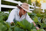 Tula Hat | Gardener Lattice