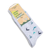 Socks That Protect Dolphins | Flipping Dolphins