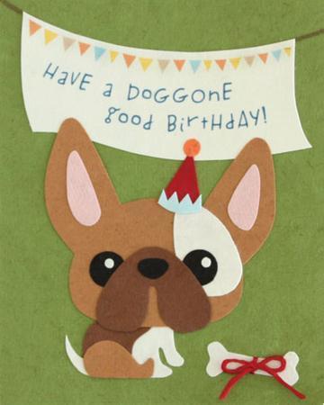 Doggone Birthday