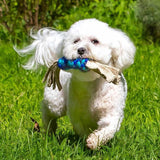 Dog Toy | Wool & Hemp Twist Pull | Blue | 2 Sizes