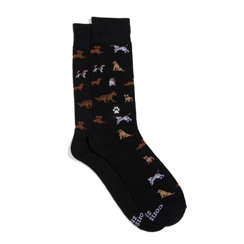 Socks That Save Dogs | Paw Parade