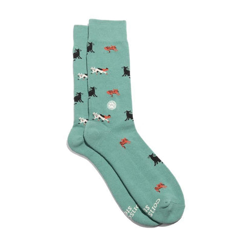 Socks That Save Cats | Teal
