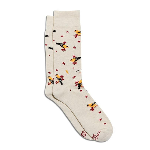 Socks That Protect Goldfinches | Goldfinch Gathering