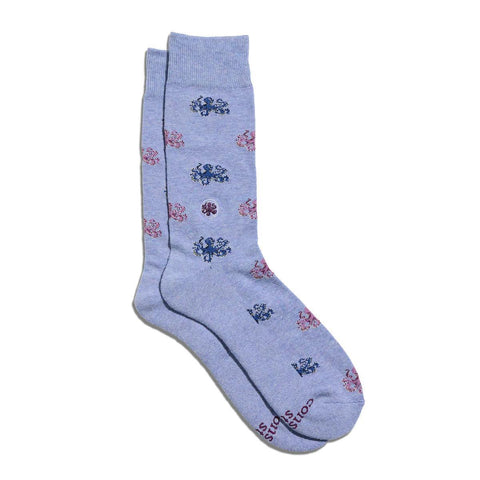 Socks That Protect Octopuses | Tentacle Tangle