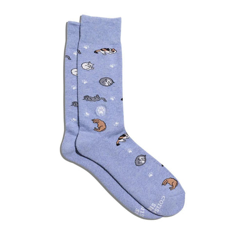 Socks That Save Cats | Cat Nap