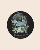Magnet | Mushroom Forager