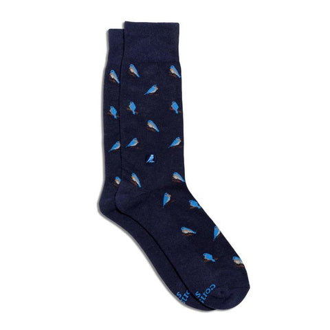 Socks That Protect Bluebirds | Brilliant Bluebirds