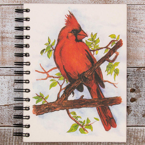 Eco-Friendly Notebook | Large | Cardinal Sketch