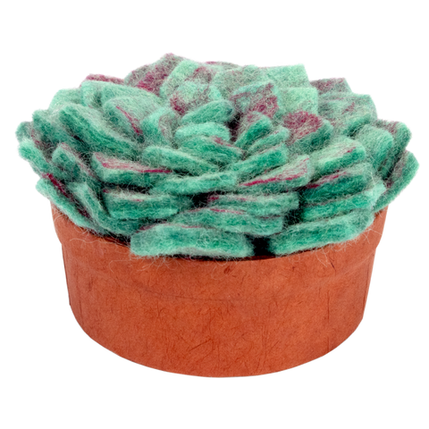 Felt Cactus | Teal Lotus