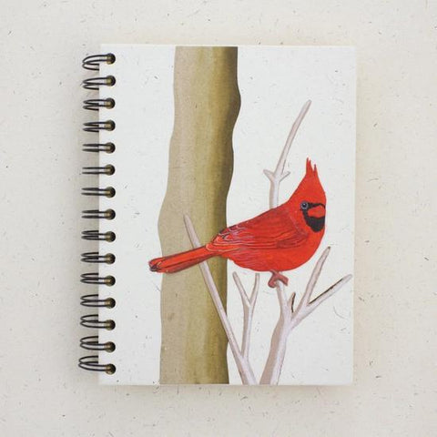 Eco-Friendly Notebook | Large | Cardinal Natural White