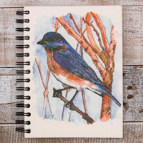 Eco-Friendly Notebook | Large | Bluebird Sketch