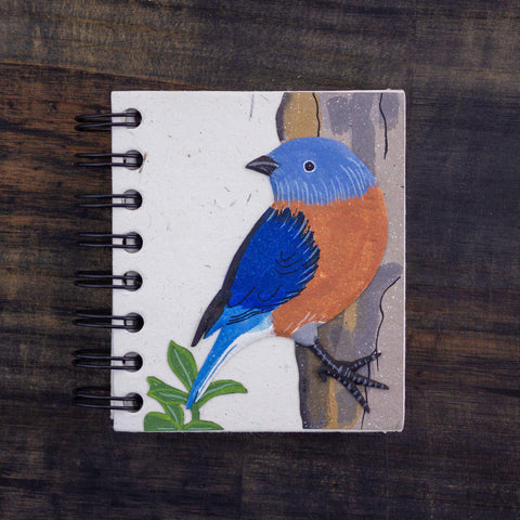 Eco-Friendly Notebook | Small | Bluebird Natural