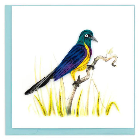 Golden-breasted Starling Quilling Card