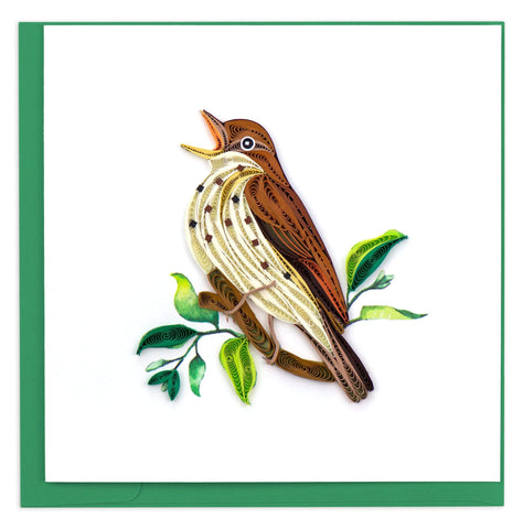 Wood Thrush Quilling Card