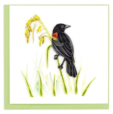 Red-Winged Blackbird Quilling Card