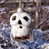 Birdhouse | Snowy Owl