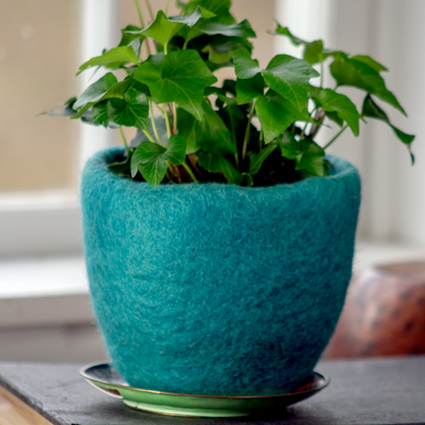 Cozy Felt Planter | Turquoise
